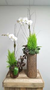 Arrangement d'Orchidées