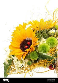 Bouquet de Tournesols